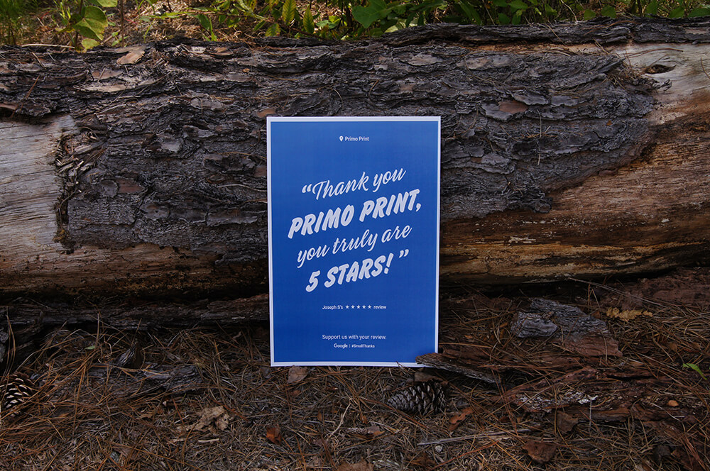Google Review for Small Thanks Poster