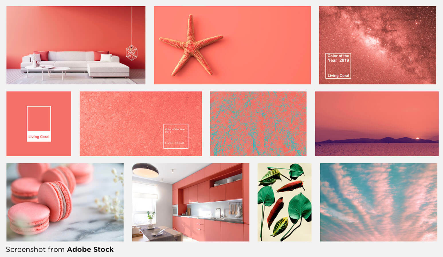 Living Coral, or Pantone 16-1546, is an optimistic blend of peach and gold with a pink hue that shows up more in the natural world than in Pantone's rendition.