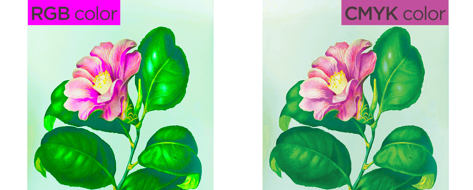 Color Types; RGB color vs. CMYK color Learn the difference and why they're important.