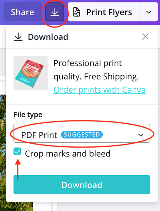  Under “File Type” make sure “PDF Print” is selected.