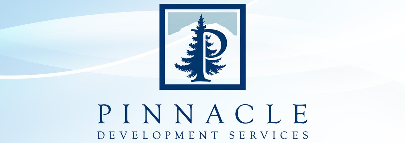 Custom logo design proces for Pinnacle Development Services