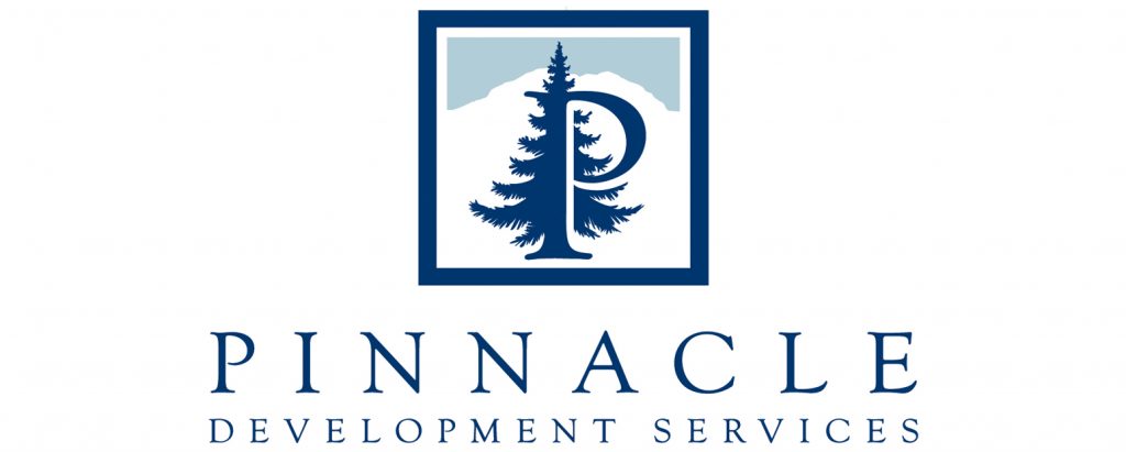 Brand new custom logo for Pinnacle Development Services designed by Primoprint. 