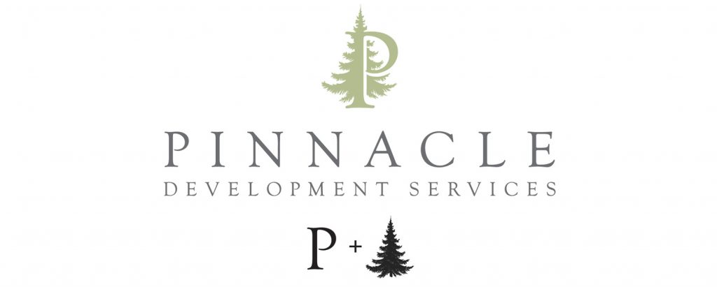 Here is the first concept for Pinnacle's new logo. 