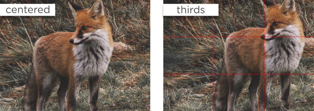 You can see the difference; photo centered and the same photo with rule of thirds. 