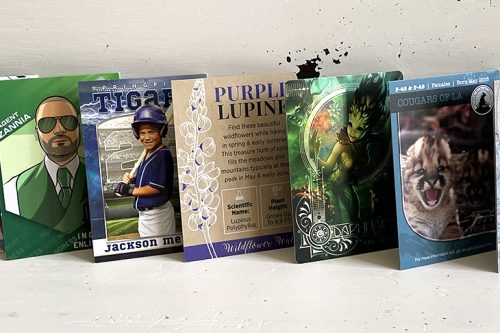 how to make a presentation folder Trading Cards