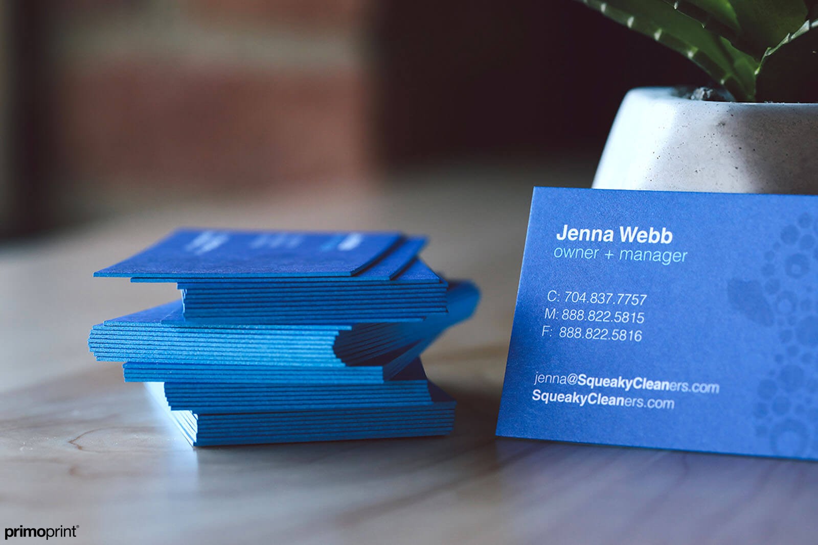 32pt, thick Blue Painted Edge Business Card printed by Primoprint