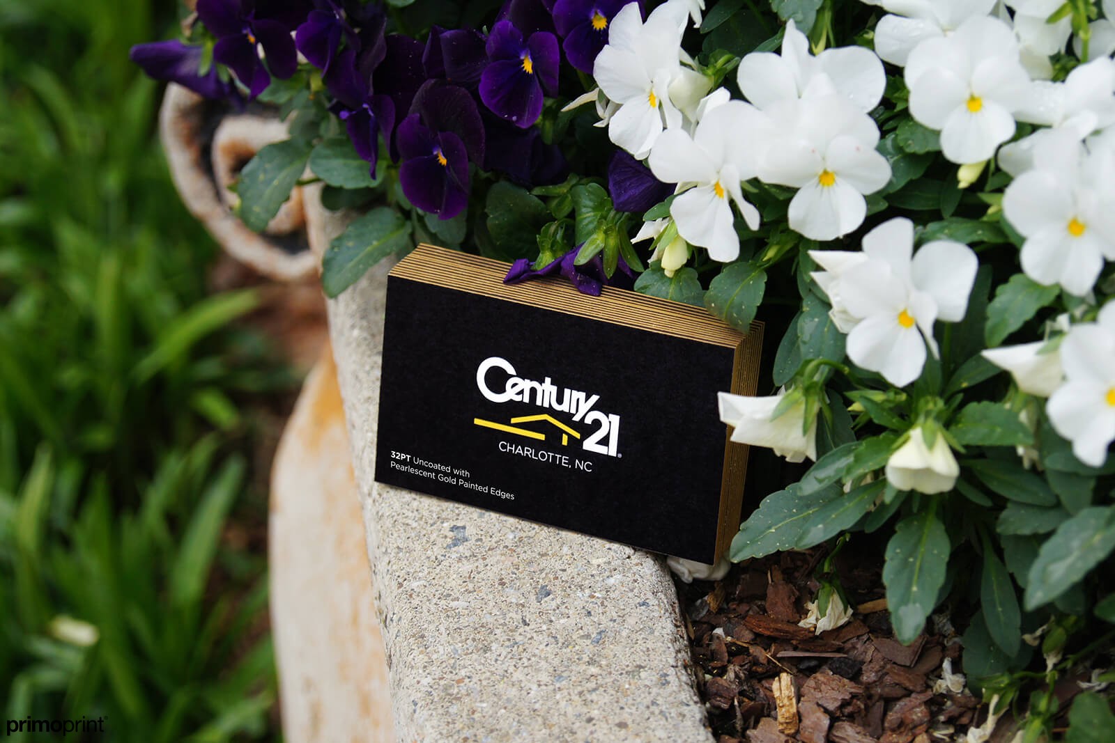 Demand attention with Gold Painted Edge business card. Designed by Primoprint.